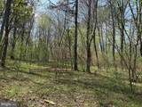  Water Oak Road (Tract: C119 Wingfield) - Photo 9