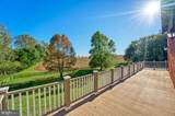 38678 Piggott Bottom Road - Photo 65