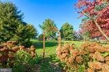 38678 Piggott Bottom Road - Photo 79