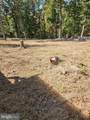  Hill Climb Rd. - Photo 16