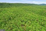 40.4 AC Dave Moreland Rd - Photo 32