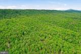 40.4 AC Dave Moreland Rd - Photo 33