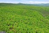 40.4 AC Dave Moreland Rd - Photo 40