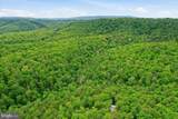 40.4 AC Dave Moreland Rd - Photo 43