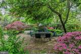 315 Nassau Street - Photo 30