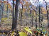 81.5 Acres Hopkins Gap Rd - Photo 10