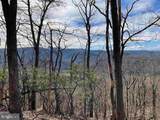 81.5 Acres Hopkins Gap Rd - Photo 3