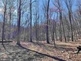 81.5 Acres Hopkins Gap Rd - Photo 30