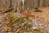 81.5 Acres Hopkins Gap Rd - Photo 41
