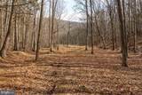81.5 Acres Hopkins Gap Rd - Photo 46