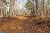 81.5 Acres Hopkins Gap Rd - Photo 47