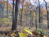 81.5 Acres Hopkins Gap Rd - Photo 51