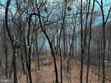 81.5 Acres Hopkins Gap Rd - Photo 53