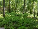 81.5 Acres Hopkins Gap Rd - Photo 60