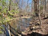 81.5 Acres Hopkins Gap Rd - Photo 8