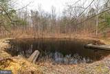 Lot 1 Hopkins Gap Rd - Photo 44