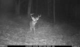 Lot 1 Hopkins Gap Rd - Photo 56