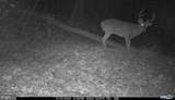 Lot 1 Hopkins Gap Rd - Photo 57