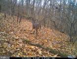 Lot 1 Hopkins Gap Rd - Photo 58