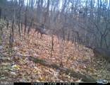 Lot 1 Hopkins Gap Rd - Photo 59