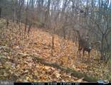 Lot 1 Hopkins Gap Rd - Photo 61