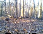 Lot 1 Hopkins Gap Rd - Photo 62