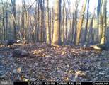 Lot 1 Hopkins Gap Rd - Photo 65