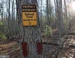 Lot 1 Hopkins Gap Rd - Photo 7