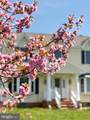 5880 Wedding Court - Photo 68