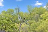 113 Rowland Drive - Photo 79