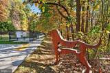 3301 Woodland Phlox Street - Photo 49