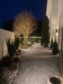 16 Hunters Point - Photo 15