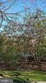 909 Ravens Crest Dr E - Photo 41