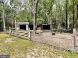 32685 Daisey Road - Photo 13