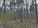  Dodson Road (Tract: C117 Adams-Thompson) - Photo 4
