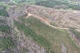  Dodson Road (Tract: C117 Adams-Thompson) - Photo 8