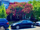 1305 F Street - Photo 27