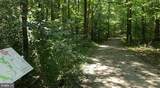 7033 Solomon Seal Court - Photo 44