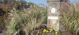 845 Lake Varuna Drive - Photo 44