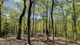 133.944 ACRES Russelldale Road - Photo 25