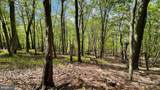 133.944 ACRES Russelldale Road - Photo 26