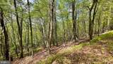 133.944 ACRES Russelldale Road - Photo 29