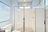 33697 Halford Circle - Photo 33