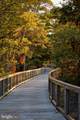 224 Clara Lane - Photo 36