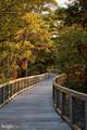 251 Clara Lane - Photo 24