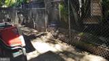 219 Wishart Street - Photo 10