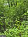 lot 415 Briar - Photo 1