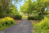 109 Splendor Garden Way - Photo 51