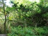 25 Maryland Avenue - Photo 83