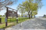 31079 Crepe Myrtle Drive - Photo 49